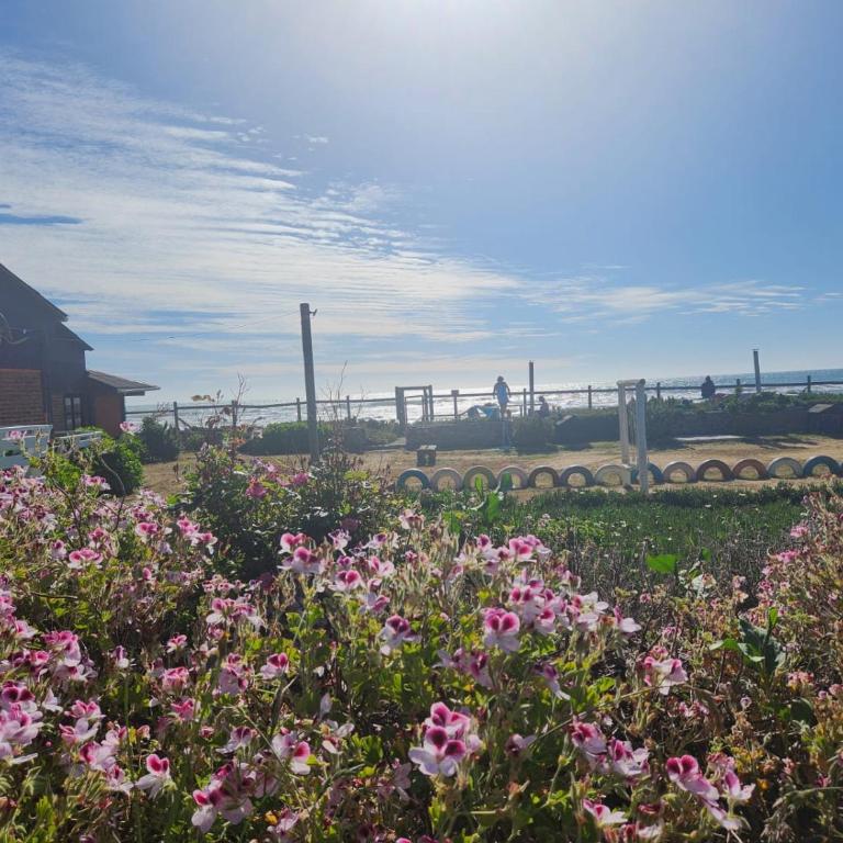 Ilocavistamar - Two-Bedroom House - 6