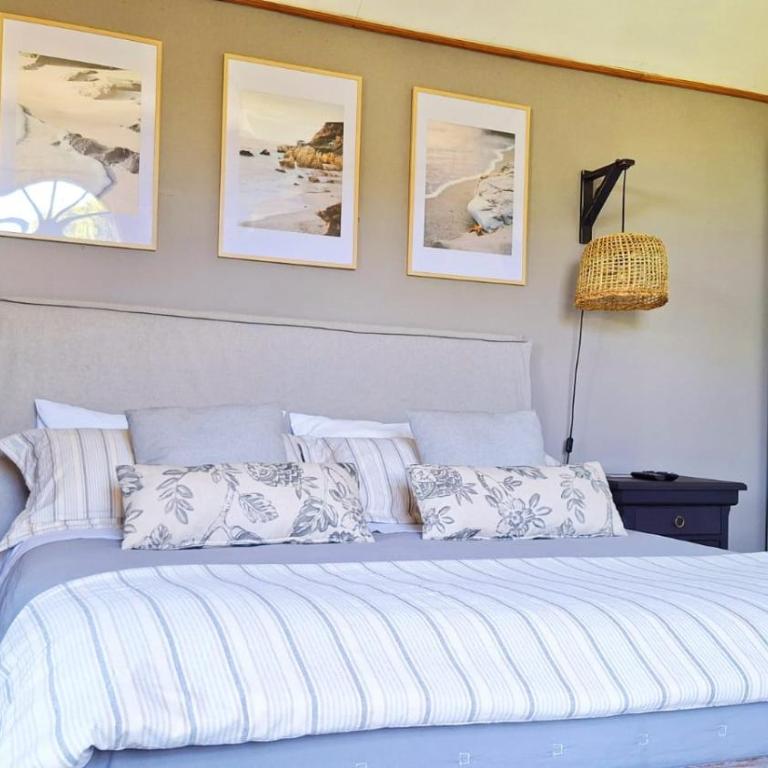 Hotel Casa Marron - Deluxe Suite with Spa Bath - 2