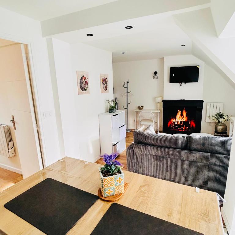 Charmants T2 rénovés - Jardin - Centre ville - Apartamento Deluxe de 1 dormitorio - 11