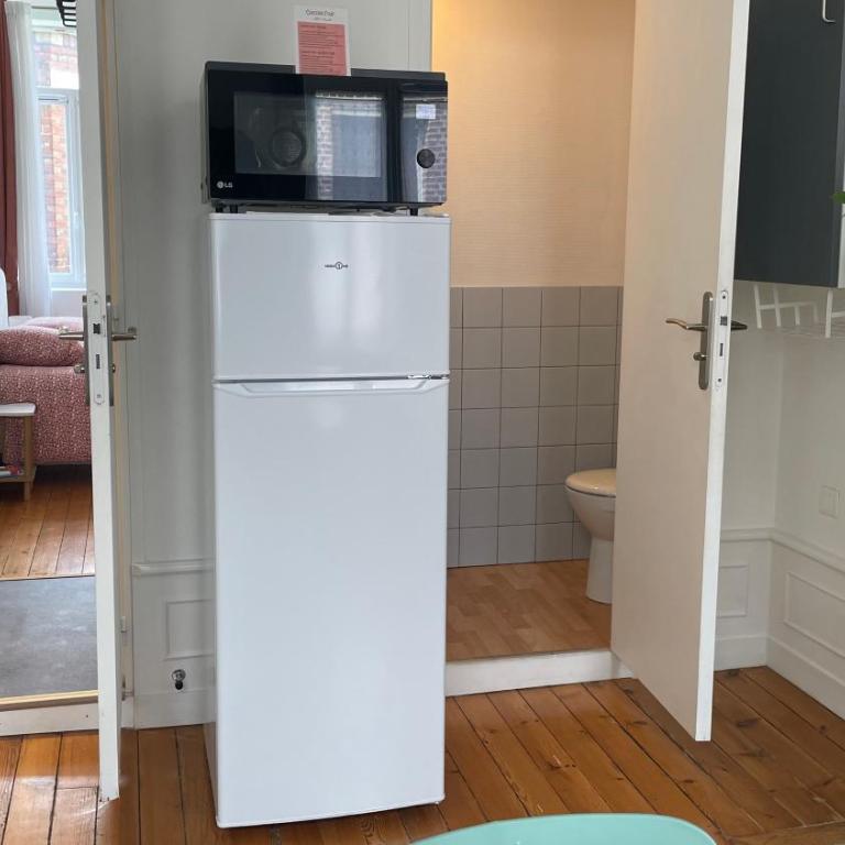 L'Alexandrine, Cozy cocoon in downtown Amiens - One-Bedroom Apartment - 9