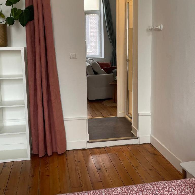 L'Alexandrine, Cozy cocoon in downtown Amiens - One-Bedroom Apartment - 8