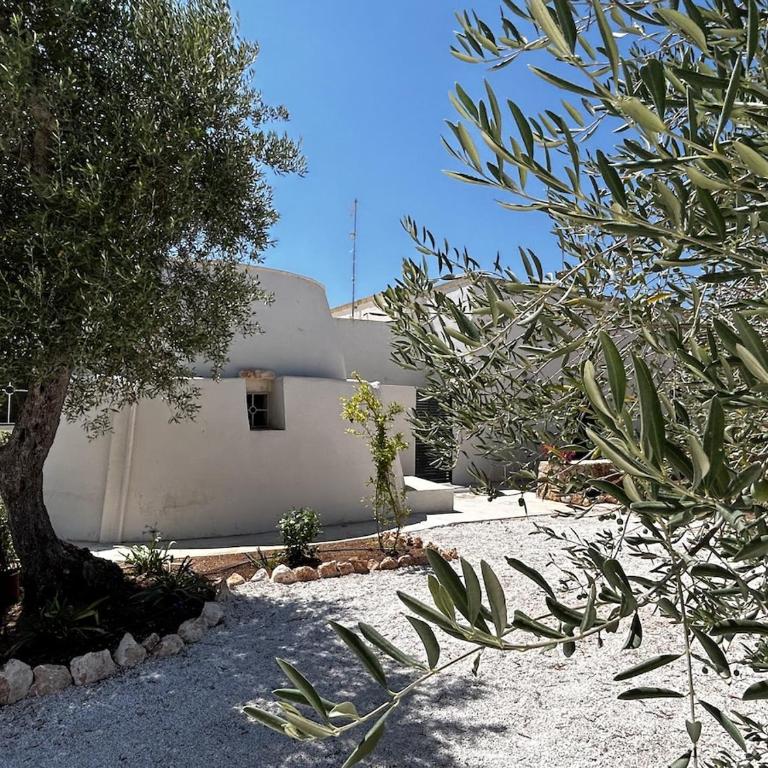 Ostuni Villa with Trullo 3 bedrooms Pool in Olive Grove near the Sea - Villa Deluxe - 43