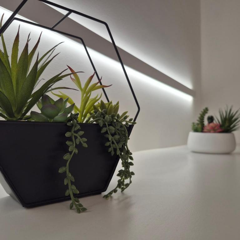 Loft "Up & White" Purezza Fascino Spazio Lecce - Casa con 2 Camere da Letto - 15