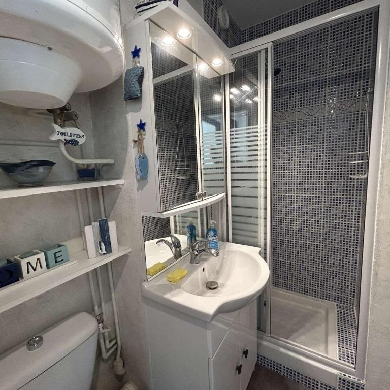 SH270-167 - Appart Studio cabine 2 couchages SAINT HILAIRE DE RIEZ - Studio Apartment with Sea View - 16