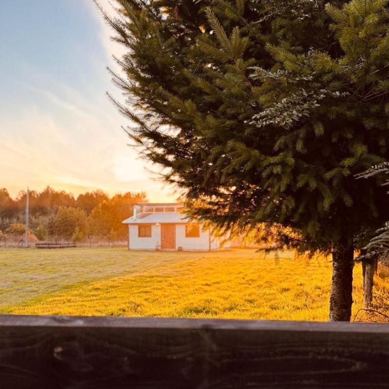 La Ovejera Panguipulli - Two-Bedroom House - 19