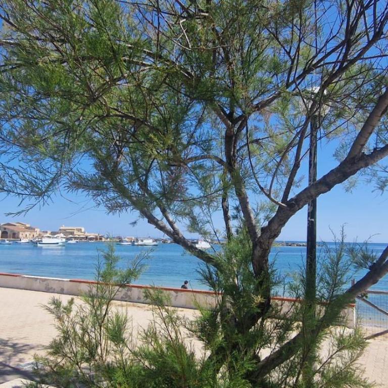 Eco del Mare - One-Bedroom Apartment - 32