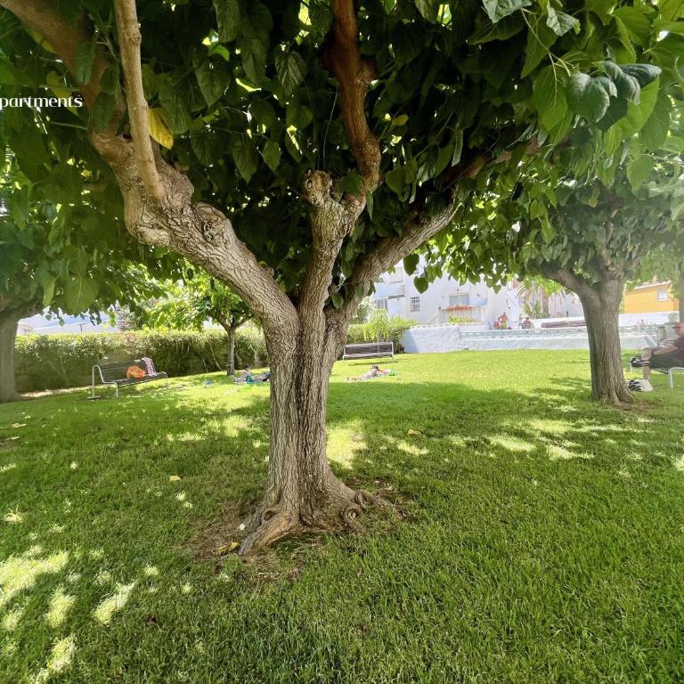 Voramar BookApartments - Apartamento de 2 dormitorios - 26