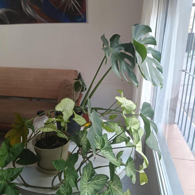 La casa de Napoli - One-Bedroom Apartment - 3
