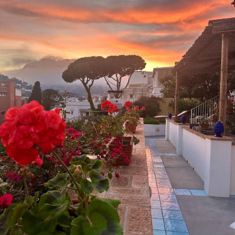 Capri Joy Apartments - Casa con 2 Camere da Letto - 36