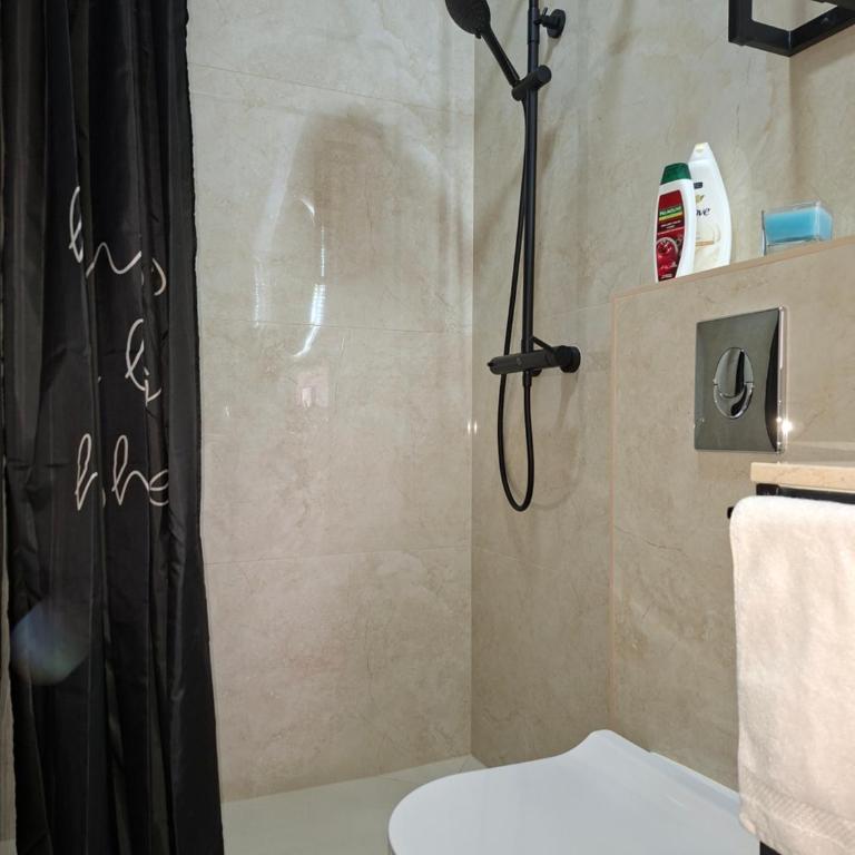Lana - One-Bedroom Apartment - 35