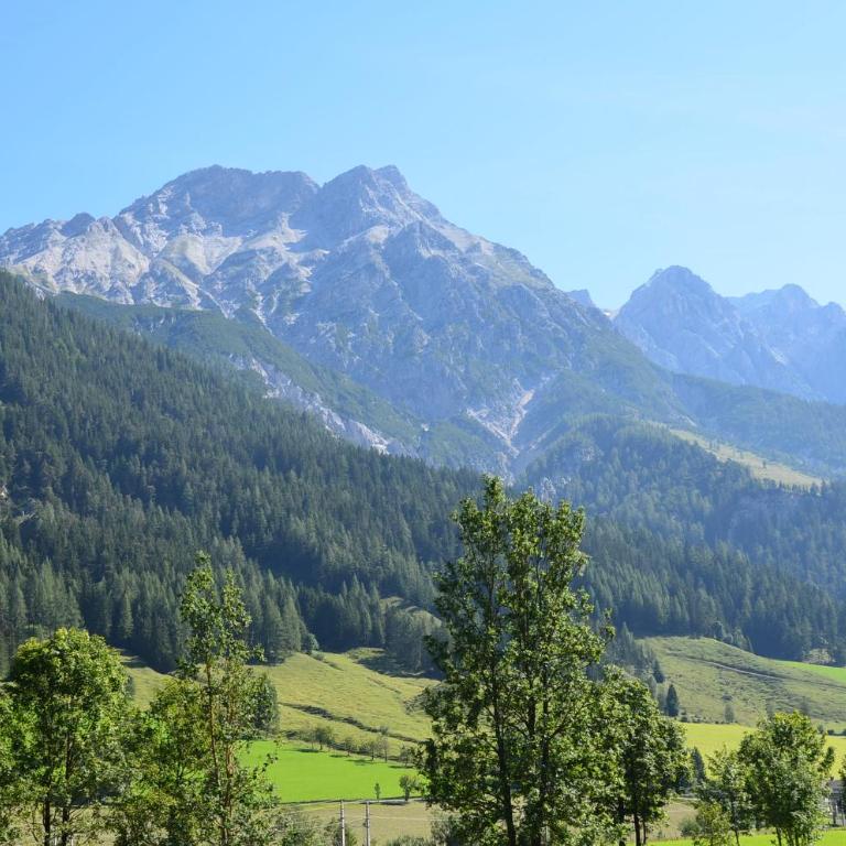 Landhaus Gertrude Eder - Appartamento con 3 Camere da Letto - 6