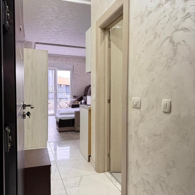 Spacious Studio with Large Terrace - Two-Bedroom Apartment - 13