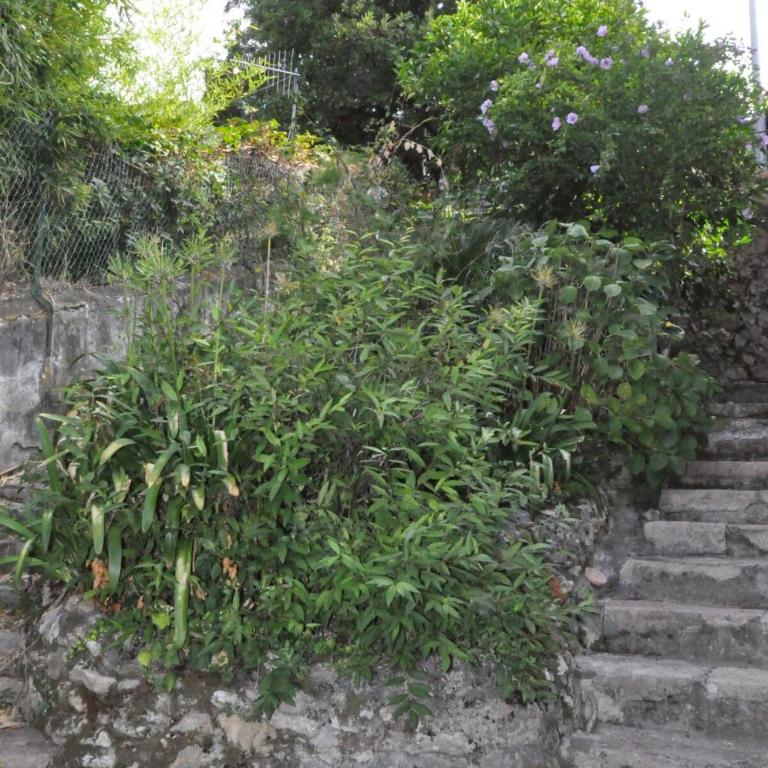 Villa Ai Colli - Villa con 2 Camere da Letto - 13