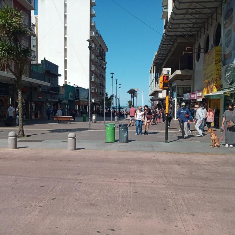 1 AMBIENTE PLENO CENTRO - CASINO - Apartamento de 1 dormitorio - 29