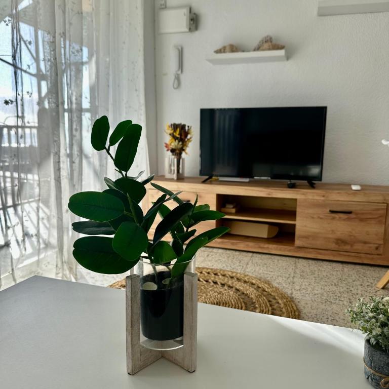 Apartamento a pie de playa en Santa Pola - Apartamento de 3 dormitorios - 12
