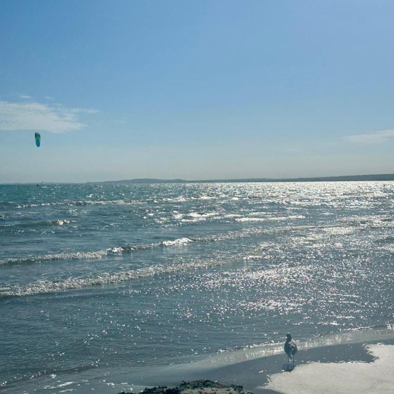 Apartamento a pie de playa en Santa Pola - Apartamento de 3 dormitorios - 41