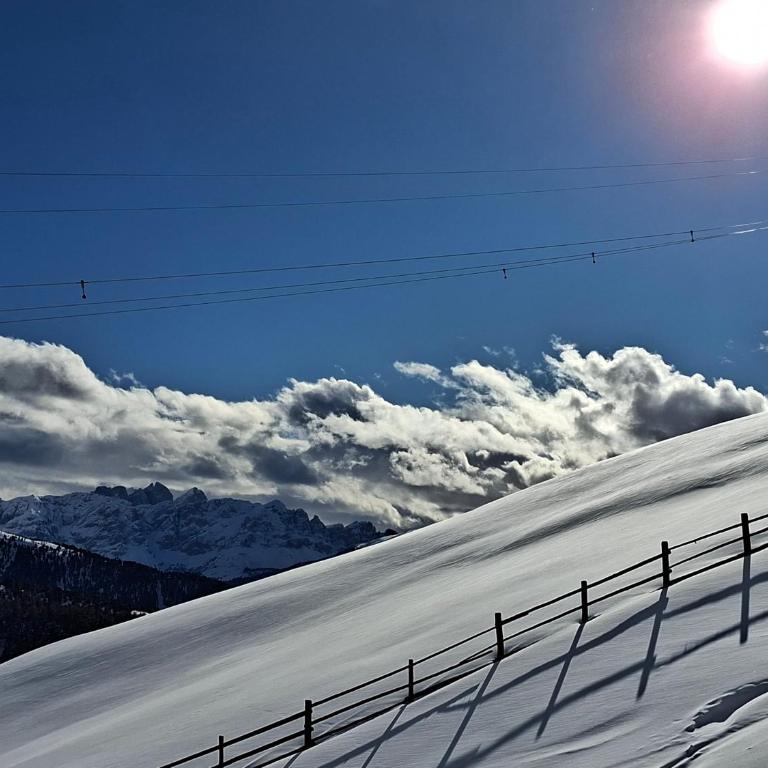 Alone in Chalet with view on Dolomites - Apartment mit 2 Schlafzimmern - 58
