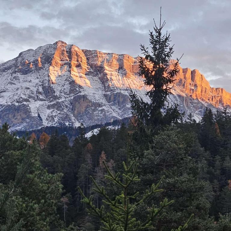 Alone in Chalet with view on Dolomites - Apartment mit 2 Schlafzimmern - 45