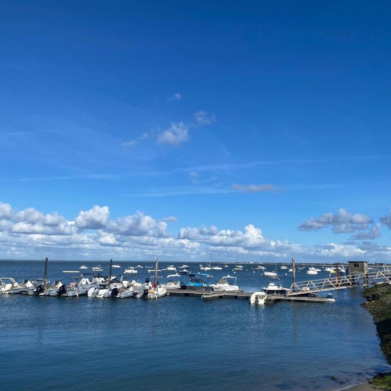 Studio sur le port avec vue bassin - Appartement 1 Chambre - 9