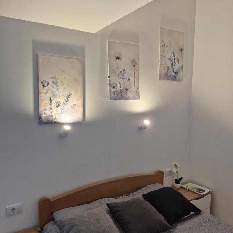 Oaza studio 2 - Apartman sa 1 Spavaćom Sobom - 6
