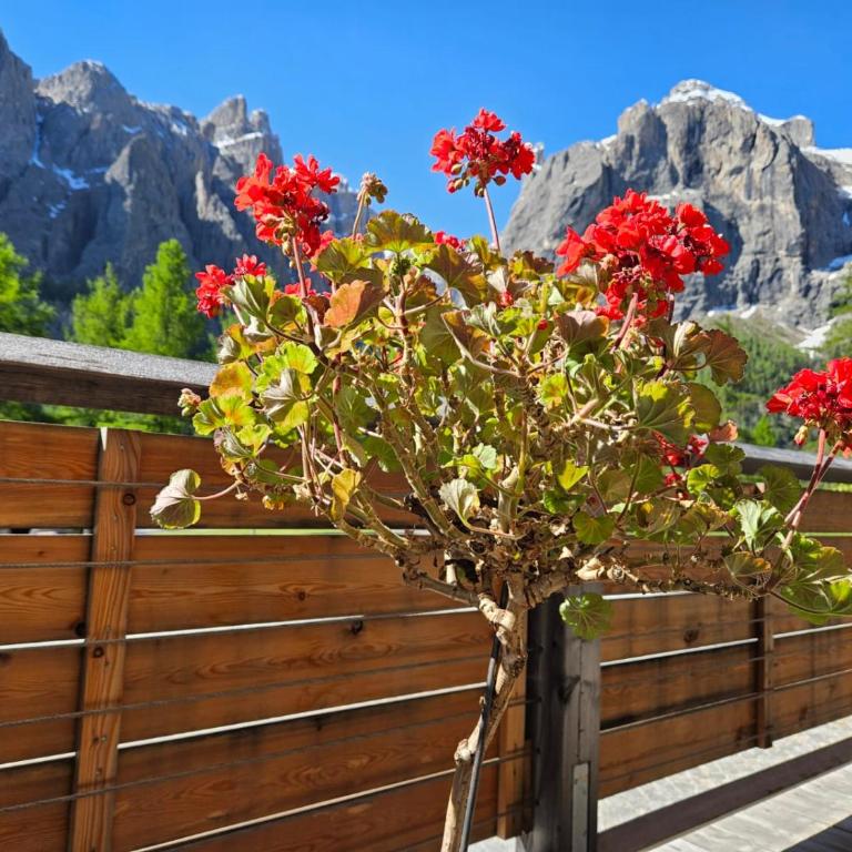 Alone in Chalet with view on Dolomites - Apartment mit 2 Schlafzimmern - 54