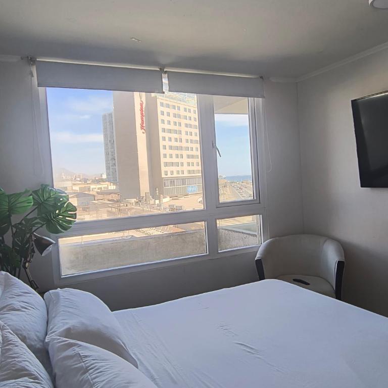 Terraza del Sol depto con estacionamiento y vistas al mar - One-Bedroom Apartment - 5