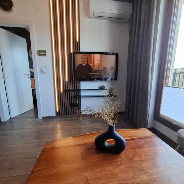 Vrnjačka Promenada - Pešačka zona - Baby friendly - One-Bedroom Apartment - 4