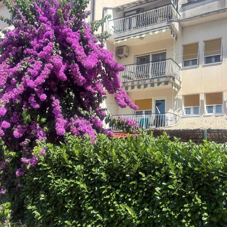 City Center Tivat - Apartman sa 2 Spavaće Sobe - 12