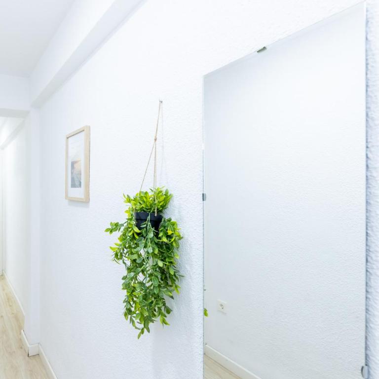 Dreaming Agustina 2 - Two-Bedroom Apartment - 28