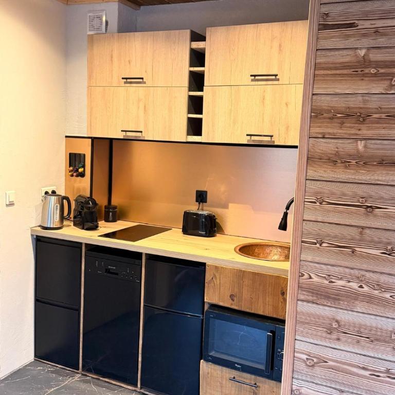 STUDIO PORT THONON-LES-BAINS EMBARCADÈRE-CGN FUNICULAIRe - Appartement - 31