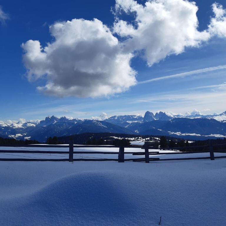 Alone in Chalet with view on Dolomites - Apartment mit 2 Schlafzimmern - 47