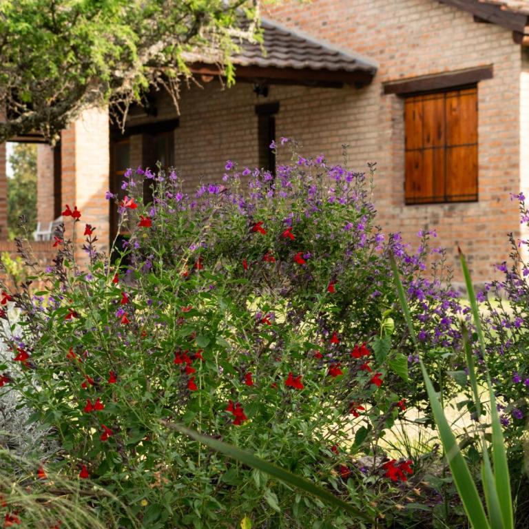 Sombra de Liebre Casas de Campo en Villa General Belgrano - Two-Bedroom House - 34