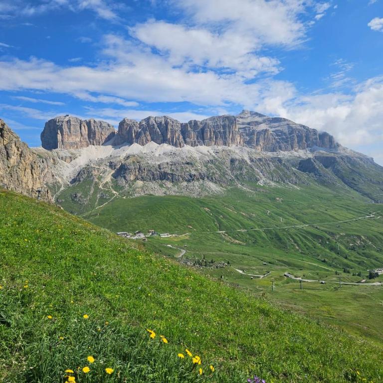 Alone in Chalet with view on Dolomites - Apartment mit 2 Schlafzimmern - 48