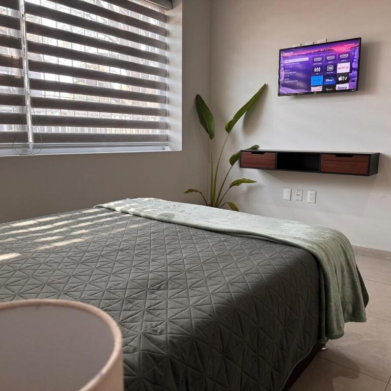 3 Bedrooms GDL Expo & Plaza del Sol Parking - Apartment - 6