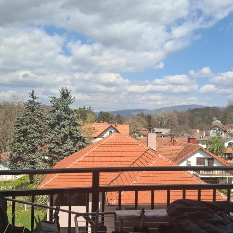 Vrnjačka Promenada - Pešačka zona - Baby friendly - One-Bedroom Apartment - 14