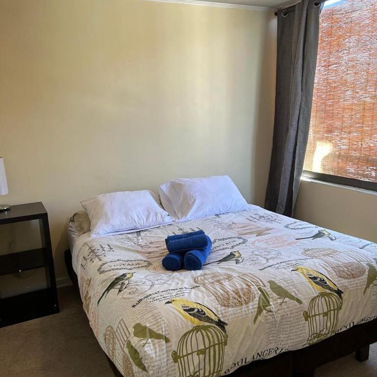 Amplio departamento Parque Forestal c Estacionamiento gratis - Apartamento de 2 dormitorios - 2
