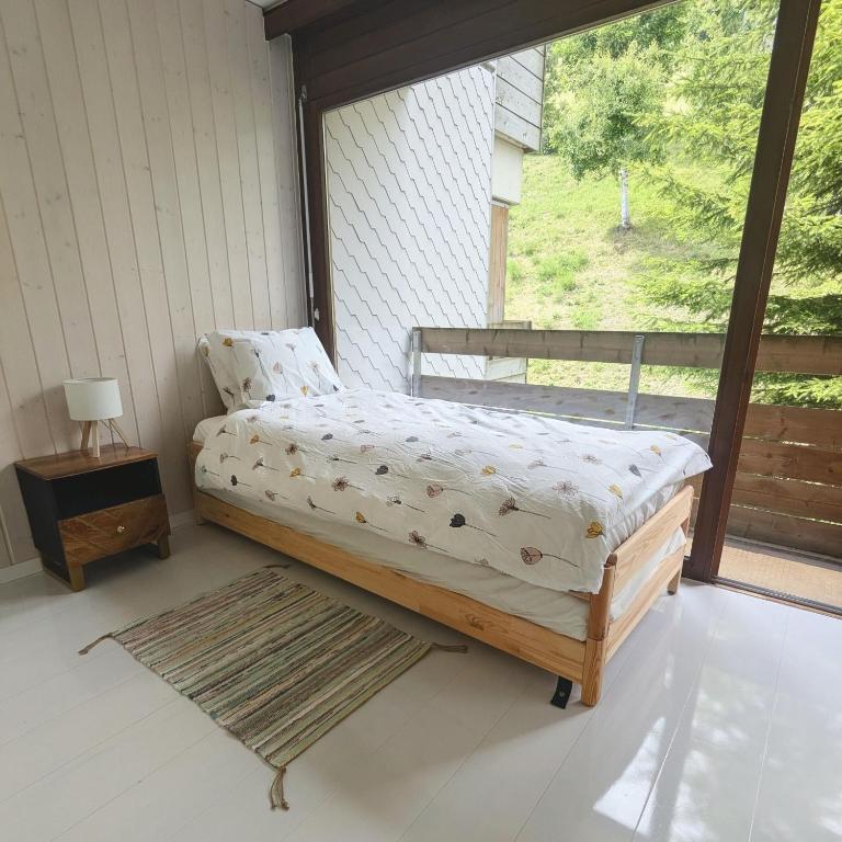 Stunning Alpine Views 3 bedroom apartment Leysin - Apartment mit Blick auf die Berge - 9
