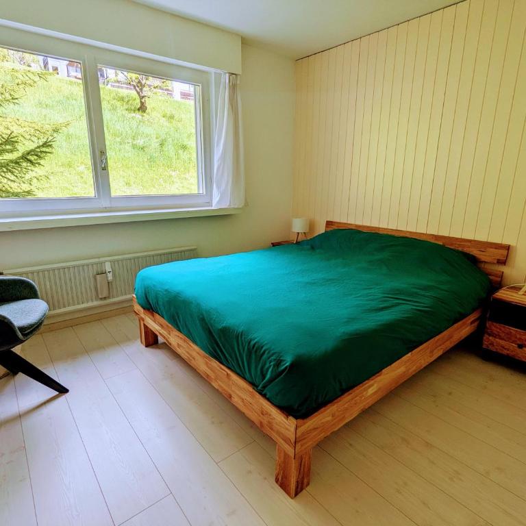 Stunning Alpine Views 3 bedroom apartment Leysin - Apartment mit Blick auf die Berge - 13