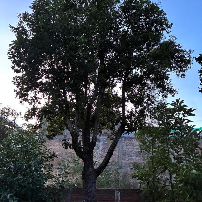 La HuertaComfortable little house and charming garden - Casa de 3 dormitorios - 24