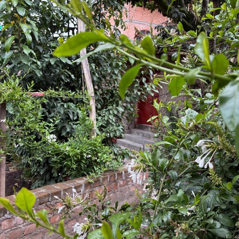 La HuertaComfortable little house and charming garden - Casa de 3 dormitorios - 31