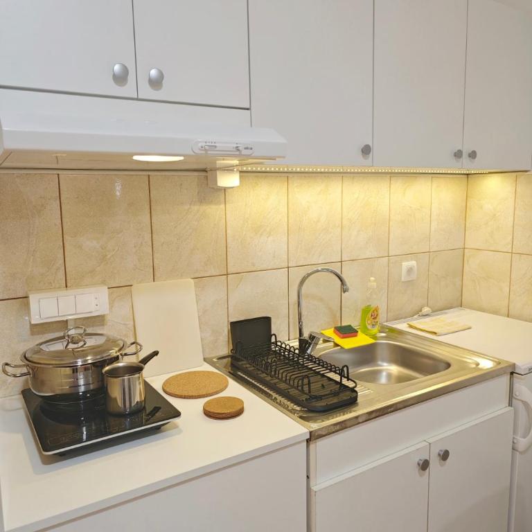 Apartman Čokić 2 - Apartman sa 1 Spavaćom Sobom - 10