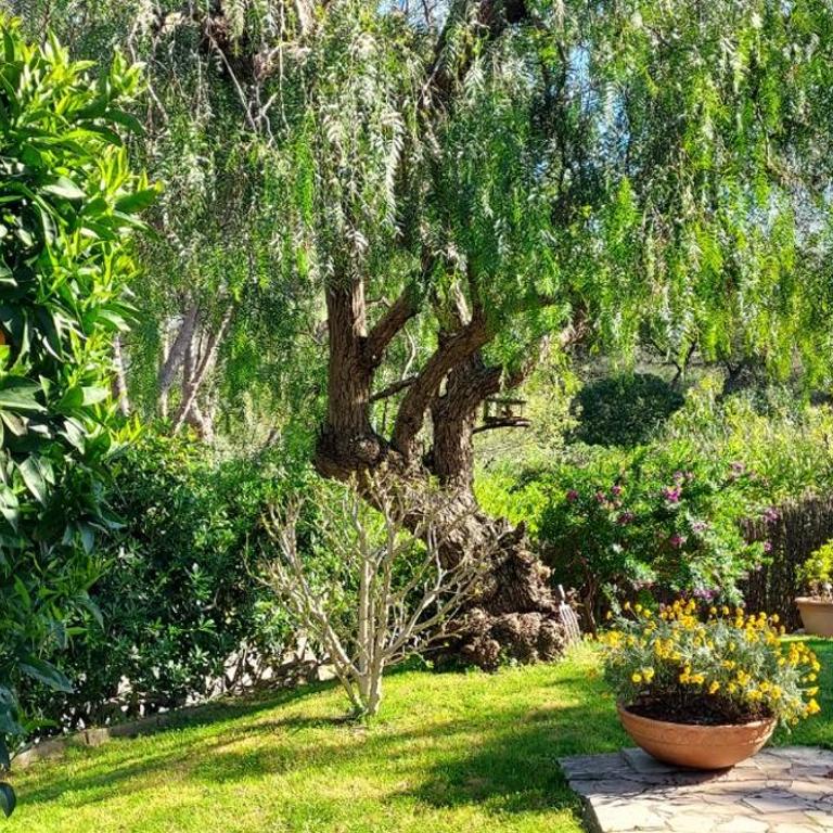 Jolie maison hauteur d'Antibes - Two-Bedroom House - 10