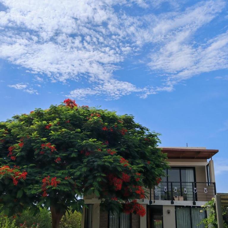 Casa del Sol Eterno - One-Bedroom House - 7