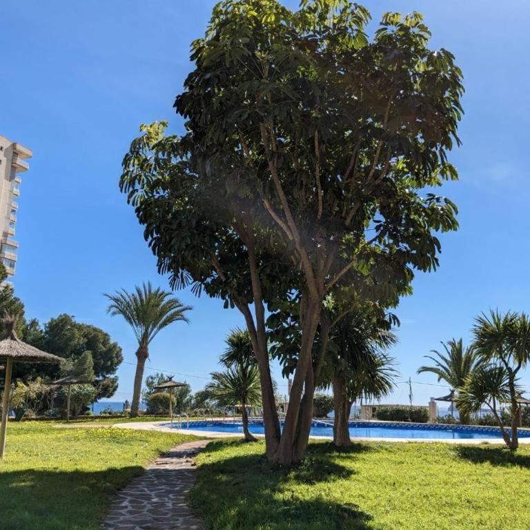 Luz y Mar - Sea View - Apartamento de 1 dormitorio - 23