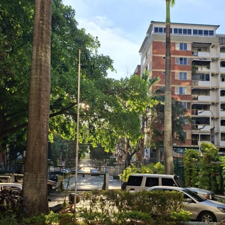 New and comfortable apartment in Los Palos Grandes - One-Bedroom Apartment - 14