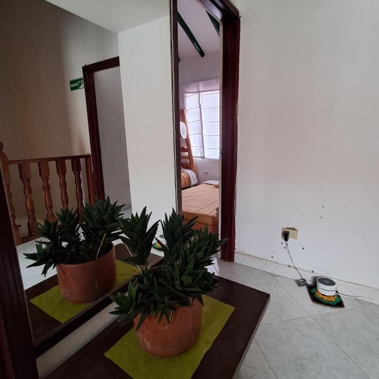 H-OSTELLO LA MERIDIANA - Single Bed in Dormitory Room - 9