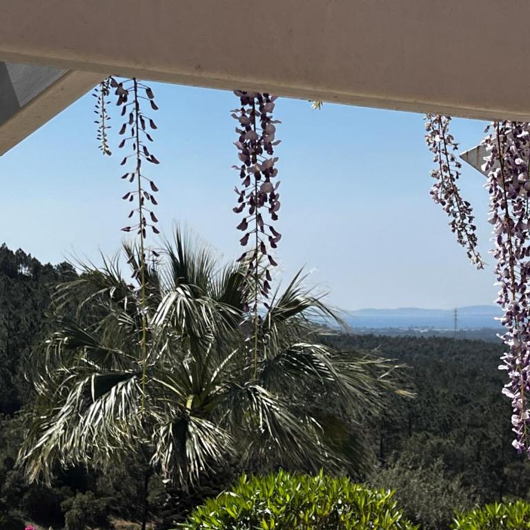 Villa Rhea - piscine -vue panoramique mer et foret - Villa - 15