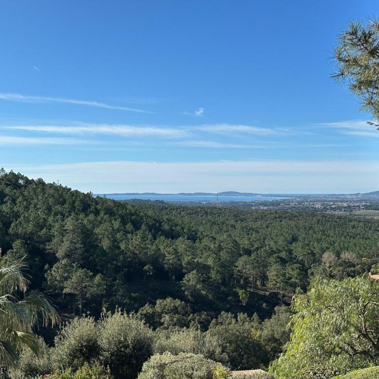 Villa Rhea - piscine -vue panoramique mer et foret - Villa - 25