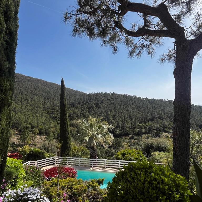 Villa Rhea - piscine -vue panoramique mer et foret - Villa - 1