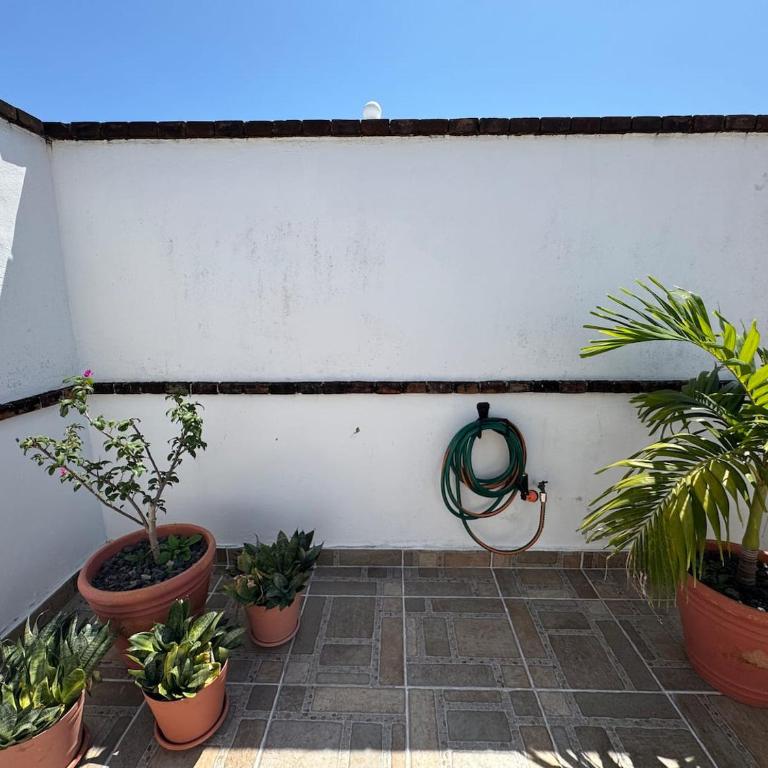Desirable Location, Private Terrace Overlook Pool - Single Room - 54